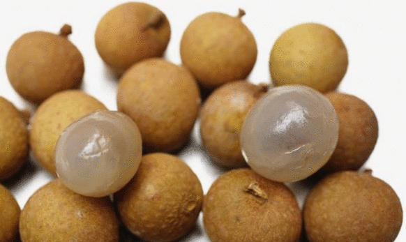 desktop 桂圓.gif desktop 桂圓.gif