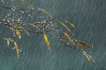 0823dd54564e92584552b7029082d158cdbf4ef3.gif 0823dd54564e92584552b7029082d158cdbf4ef3.gif